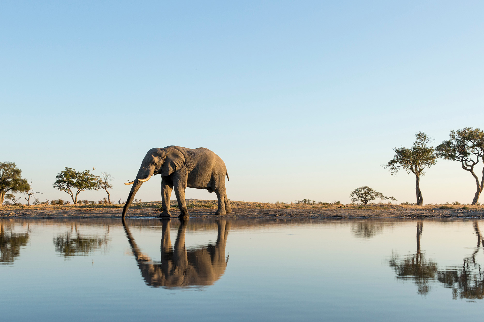 Signature-exception-Afrique-du-Sud-03