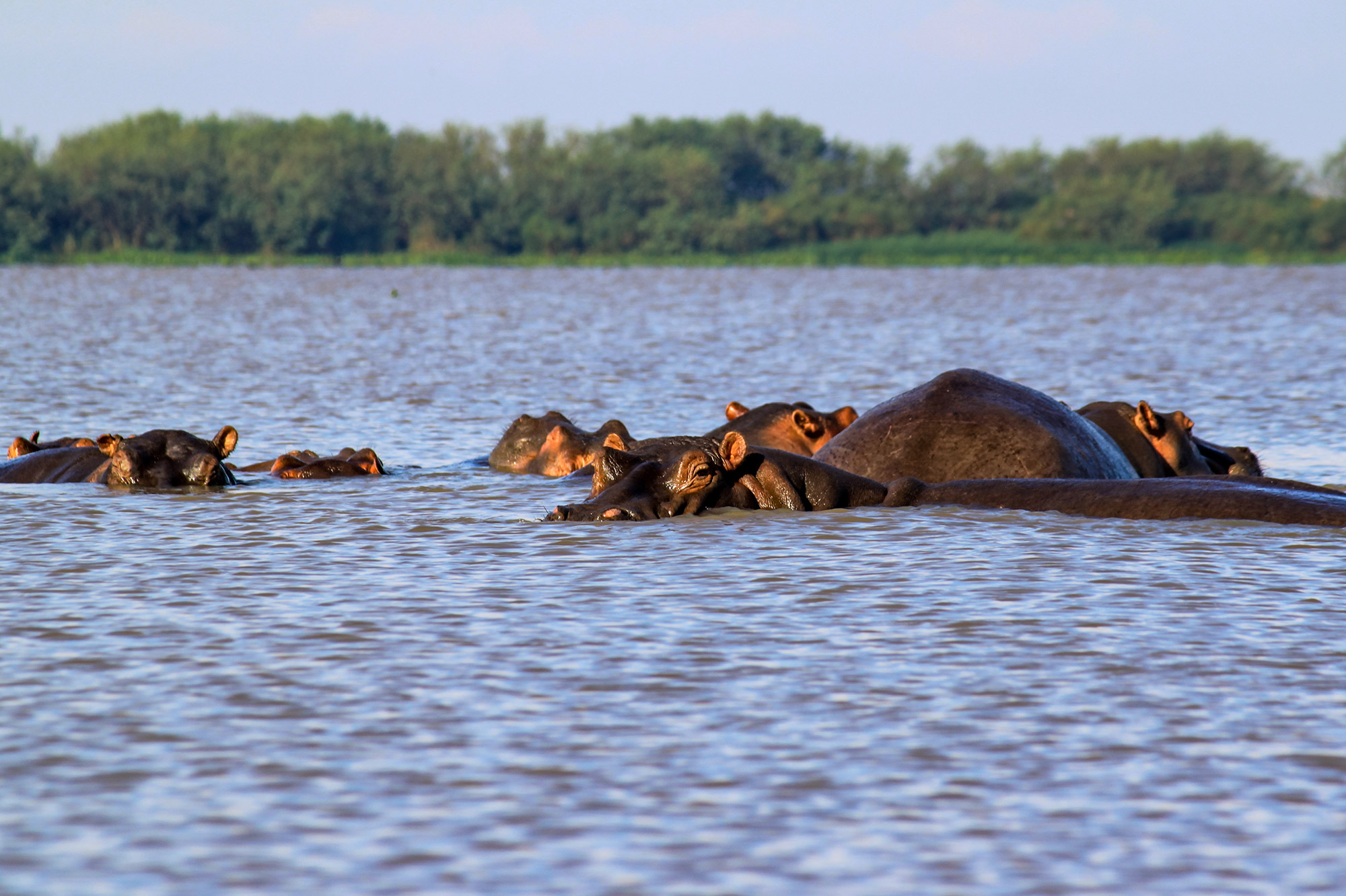 Signature-exception-Kenya-04