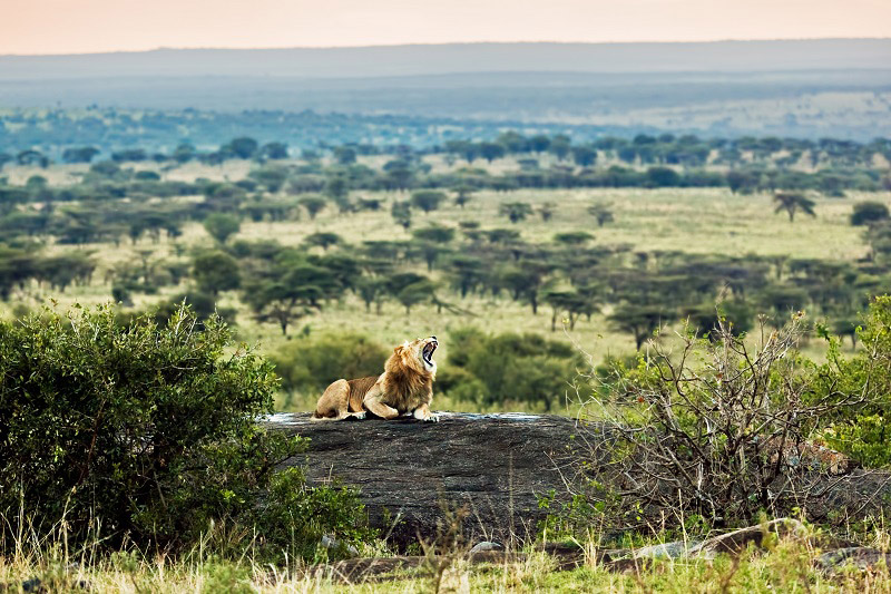 Signature-exception-Tanzanie-09