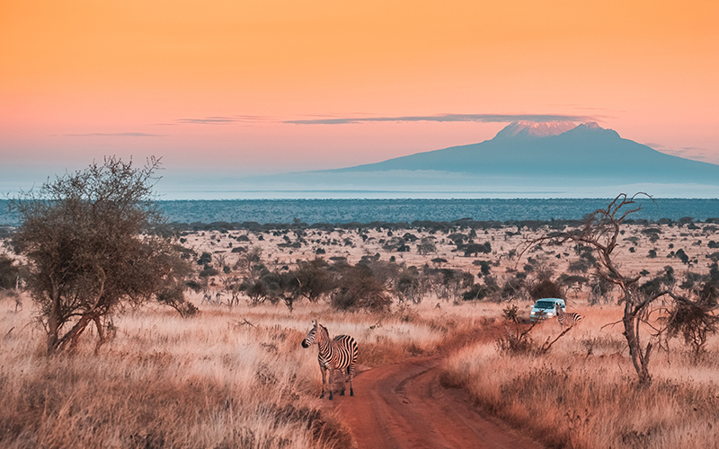 Wide shot of a beautiful jungle under the colorful sky captured in Tsavo west, Kilimanjaro, Kenya