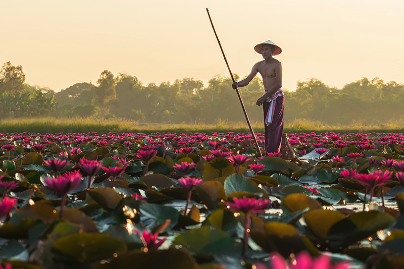 signature-exception-cambodge